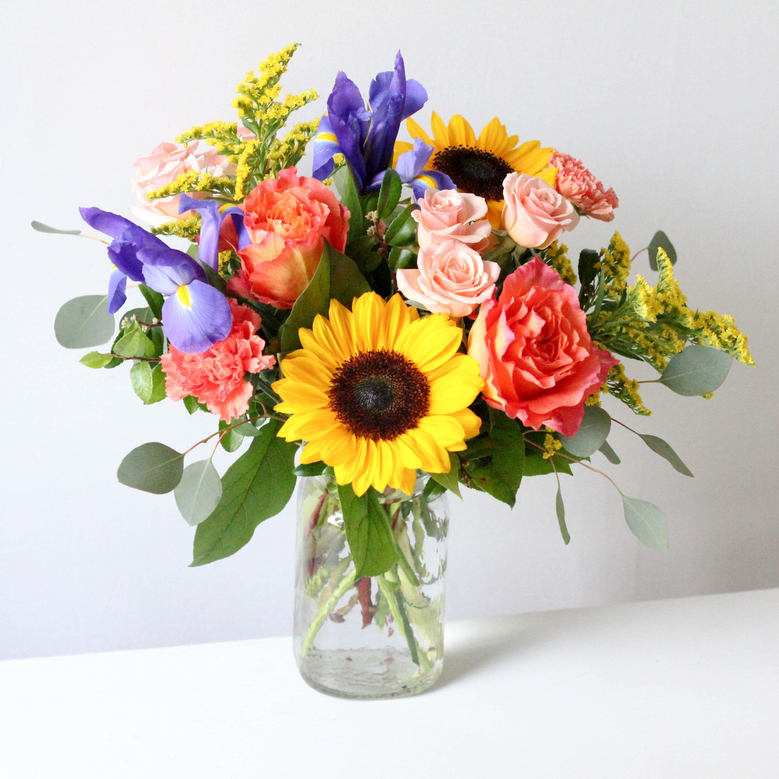 Amarillo X NO IRIS - Image 2