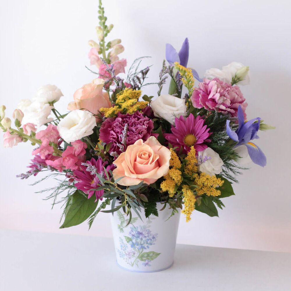 Hummingbird Heartbeat - Image 2