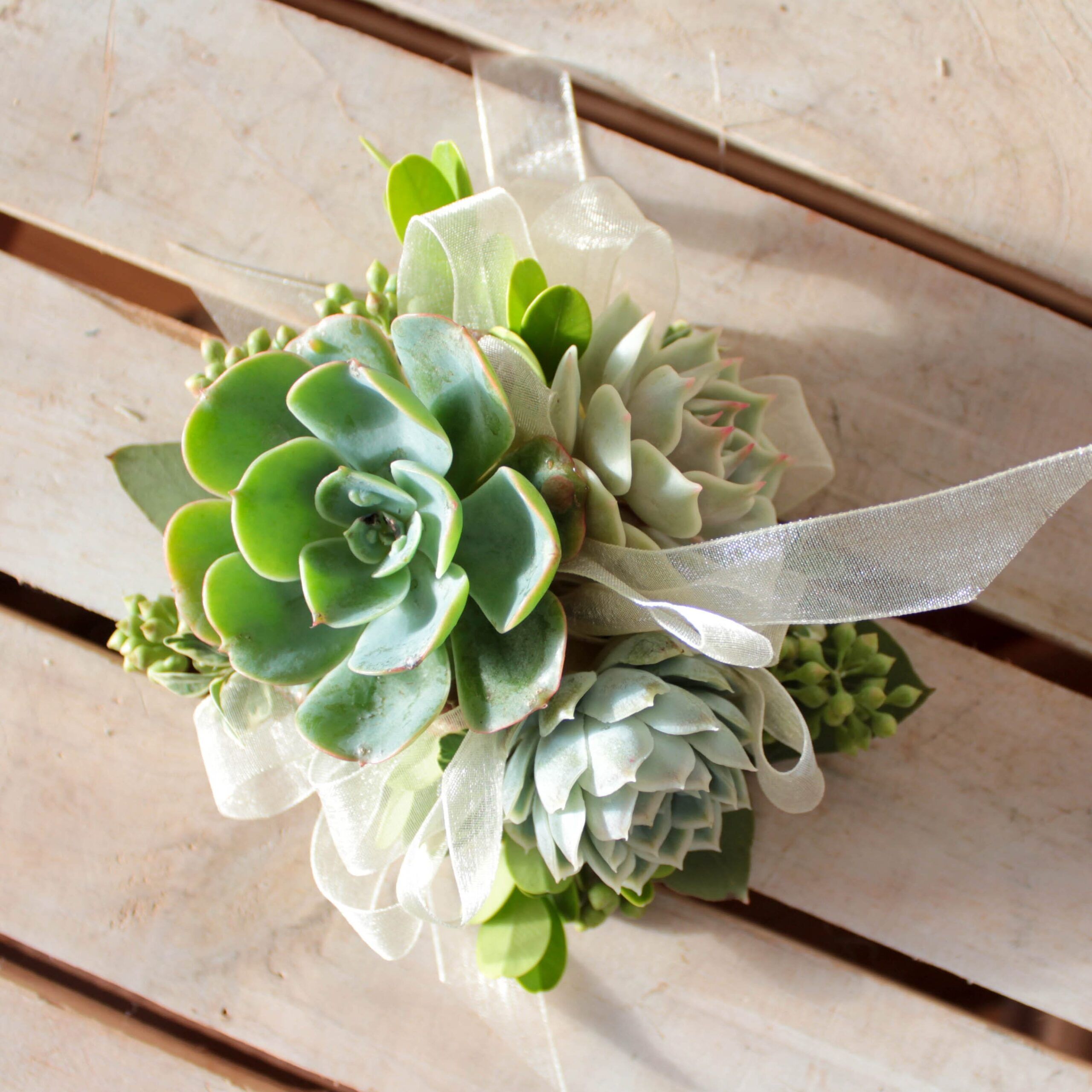 Wristlet: Succulent OUT