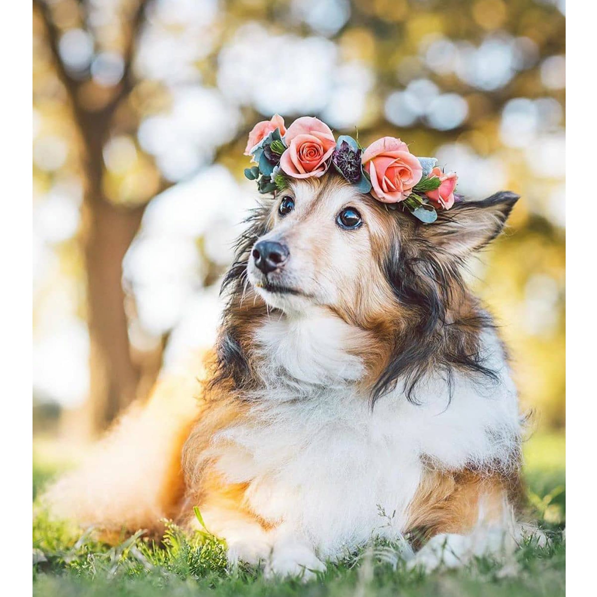 ZilkerBark! Dog Flower Crown - Image 2