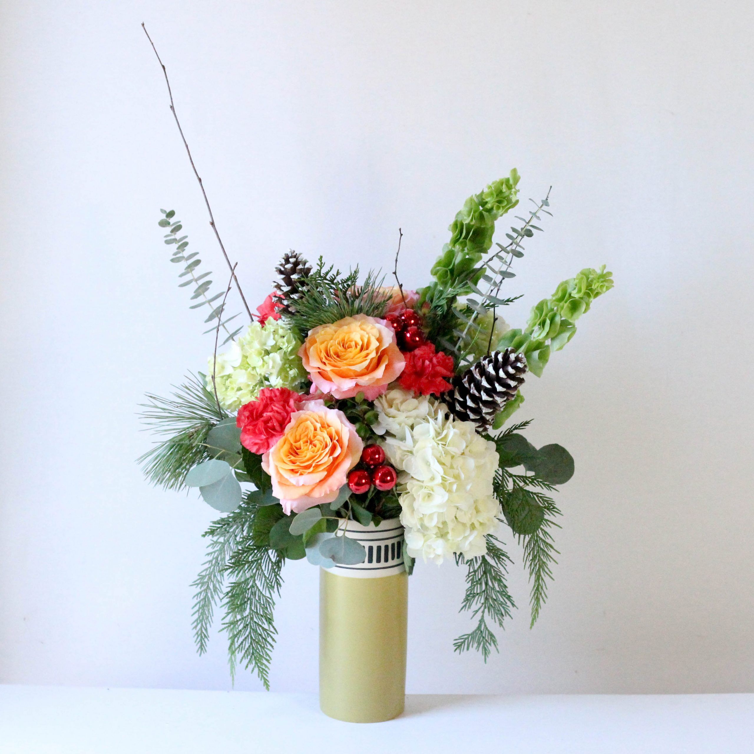 (WINTER) Christchurch X1 OUT