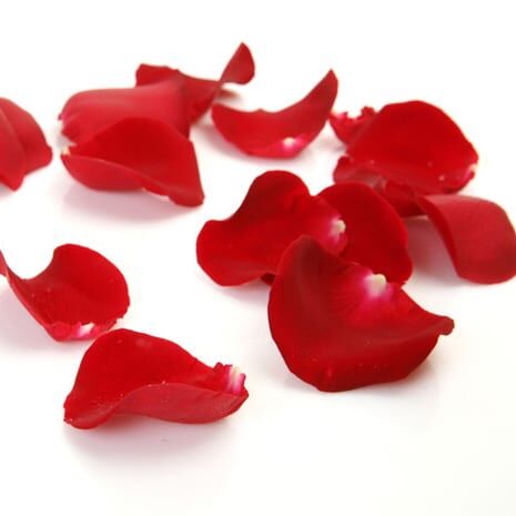 Rose Petals by the Bag-SPECIFIC OUT