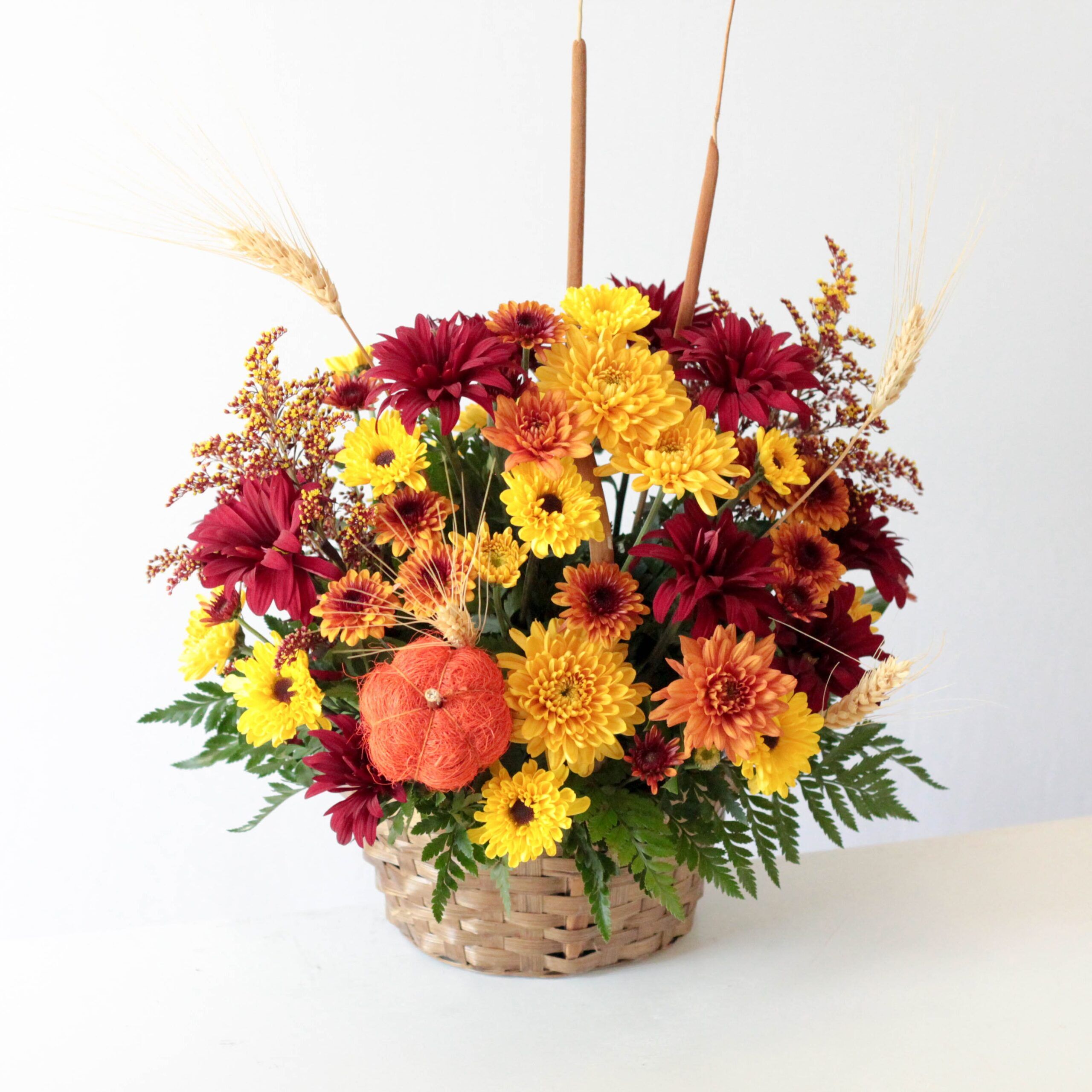 (FALL) Allspice (OUT) X DO NOT USE - Image 2