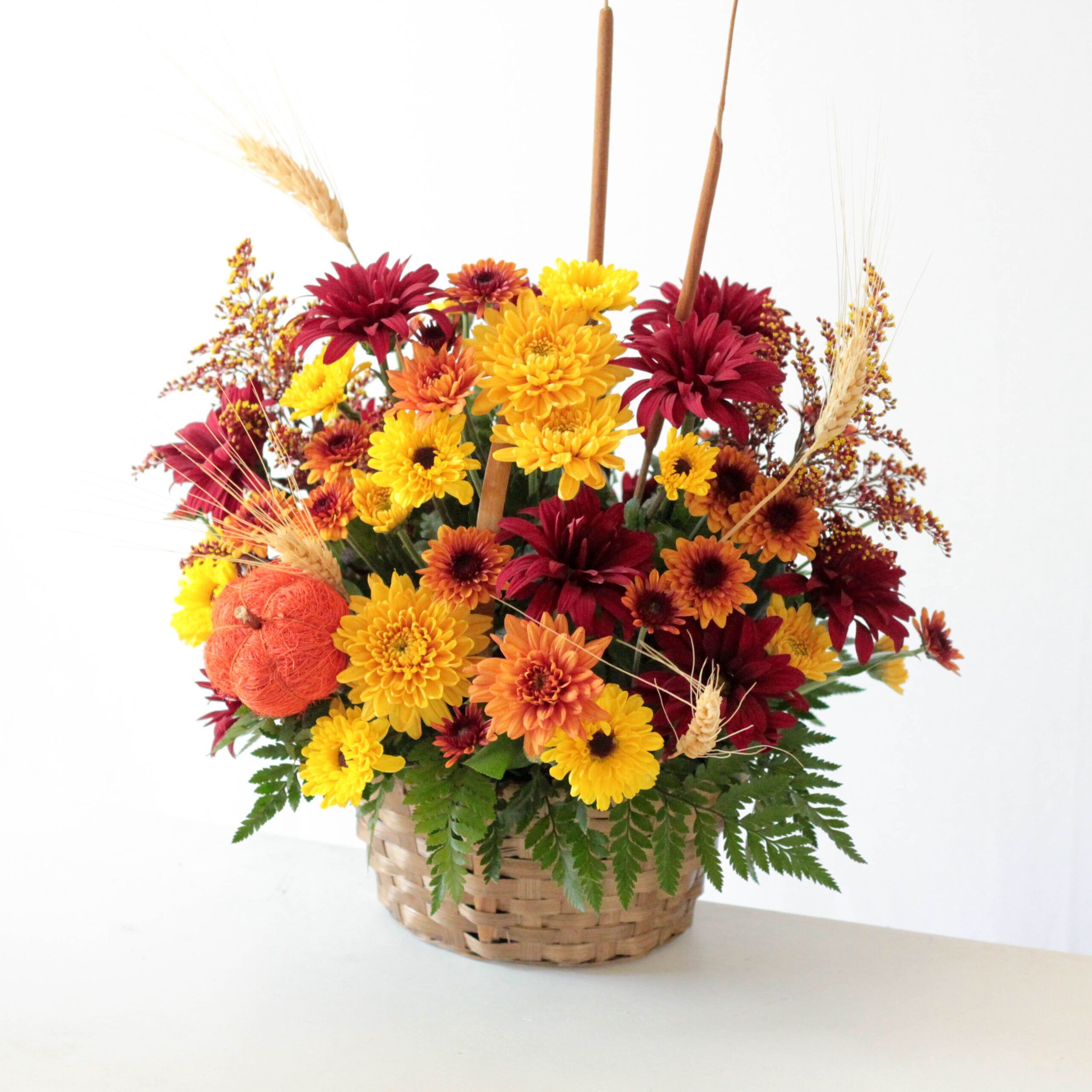 (FALL) Allspice (OUT) X DO NOT USE - Image 3